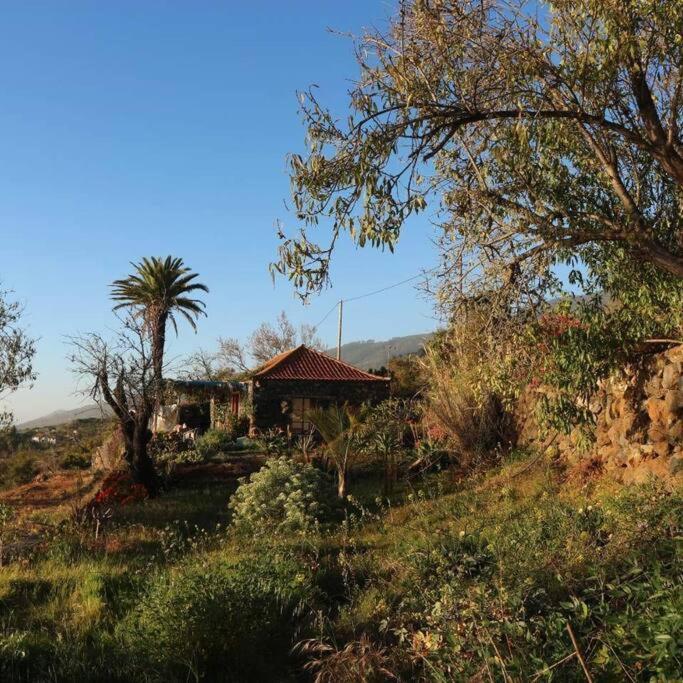 Вилла Casita En El Campo Con Vista Al Oceano Тихарафе Экстерьер фото