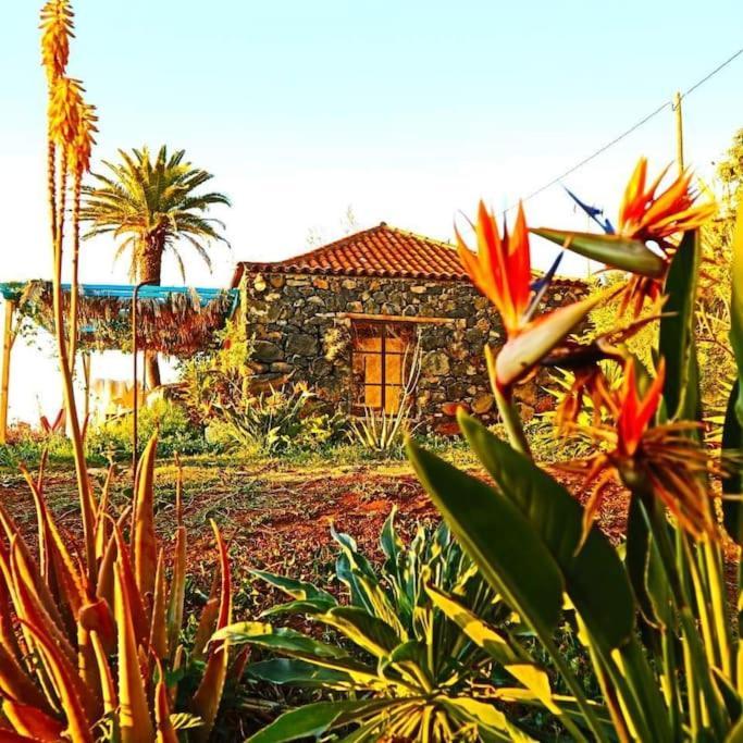 Вилла Casita En El Campo Con Vista Al Oceano Тихарафе Экстерьер фото