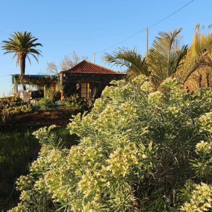 Вилла Casita En El Campo Con Vista Al Oceano Тихарафе Экстерьер фото