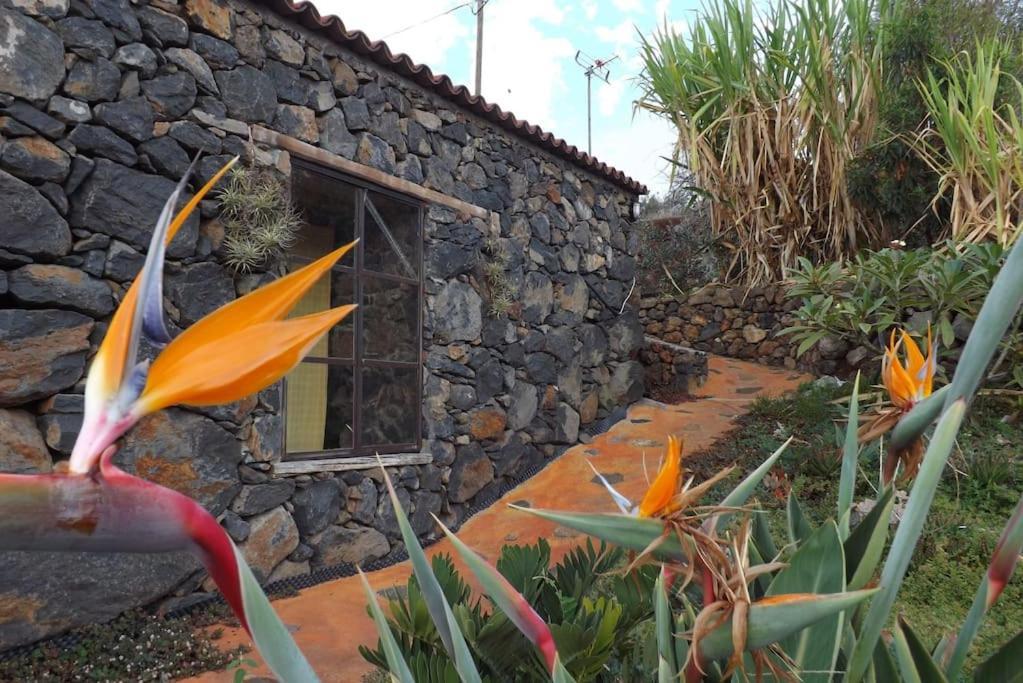Вилла Casita En El Campo Con Vista Al Oceano Тихарафе Экстерьер фото